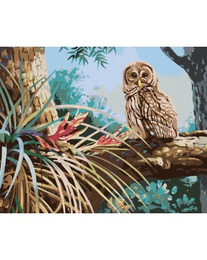 Diamantové maľovanie - SOVA V LESE (D. RUSTY RUST)