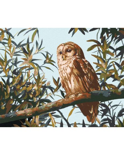 Diamantové maľovanie - SOVA NA KONÁRI A LISTY (D. RUSTY RUST)
