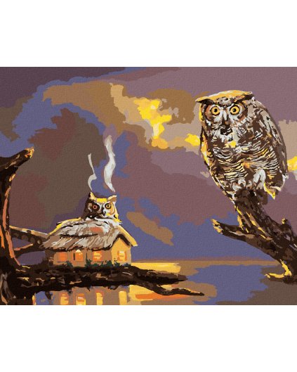 Diamantové maľovanie - SOVA A CHATA PRI VODE (D. RUSTY RUST)