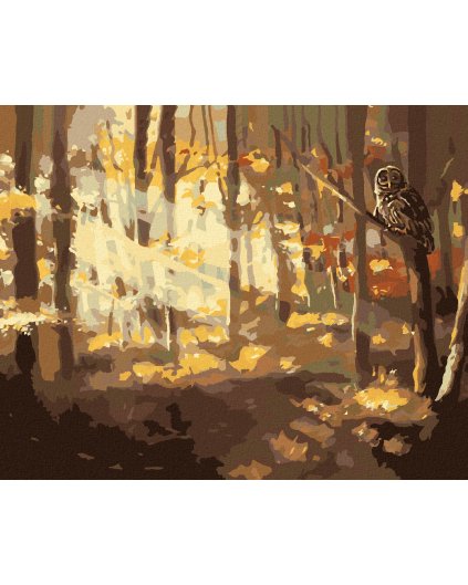 Diamantové maľovanie - SOVA A LES NA JESEŇ (D. RUSTY RUST)