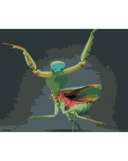 processed image