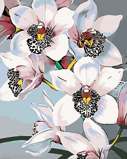 Maľovanie podľa čísel - NÁDHERNÉ ORCHIDEJE