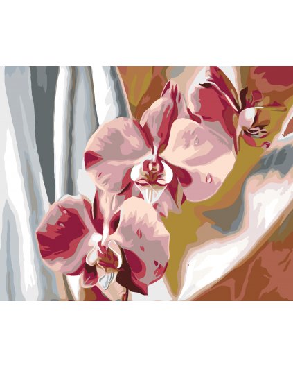Maľovanie podľa čísel - RUŽOVÁ ORCHIDEA