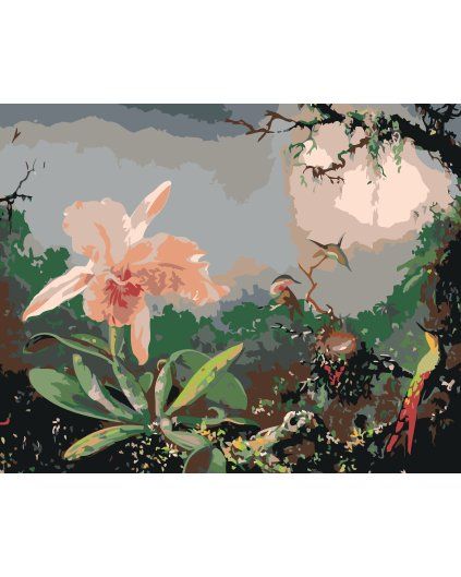 processed image