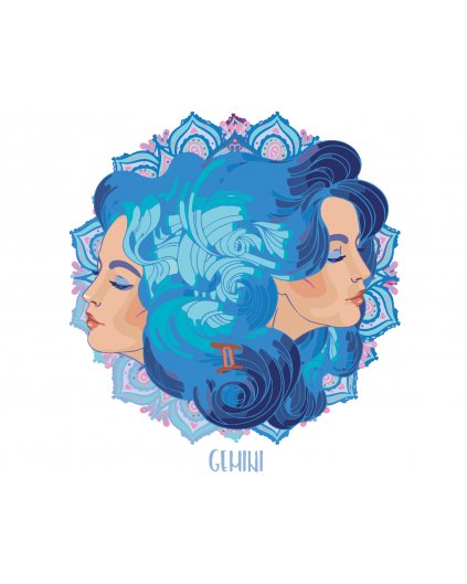 Maľovanie podľa čísel - ŽENA BLÍŽENCI