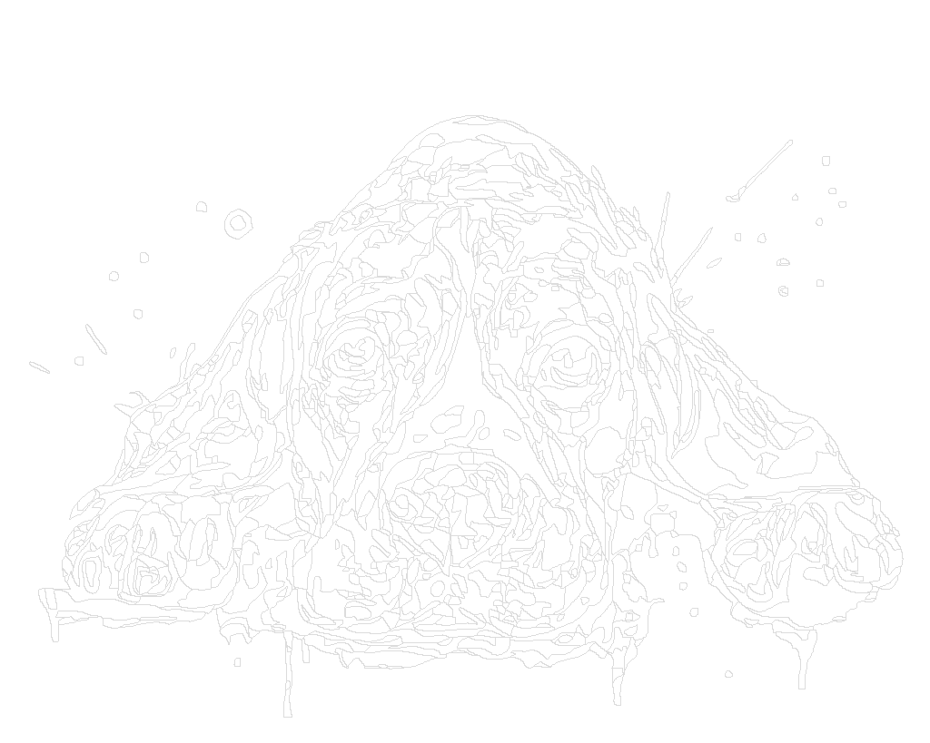 Maľovanie podľa čísel - BÍGL VO FARBACH Rámovanie: bez rámu a bez vypnutia plátna, Rozmer: 80x100 cm.