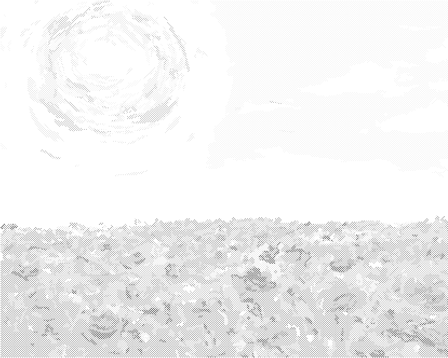 zuty Bodkovanie - SLNKO NAD MAKOVÝM POĽOM Rámovanie: bez rámu a bez vypnutia plátna, Rozmer: 80x100 cm.
Výsledkom je obraz, ktorý z diaľky vyzerá ako klasická kresba, ale zblízka odhalí svoju jedinečnú štruktúru.
Či už hľadáte obraz s prírodnou tematikou, filmové postavy, kvety, zvieratá, abstrakcie alebo dokonca repliky slávnych maliarskych diel - máme pre vás niečo pripravené!