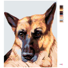 image with color metadata