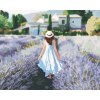 Maľovanie podľa čísel - LEVANDUĽOVÉ POLE A ŽENA V PROVENCE