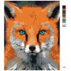Maľovanie podľa čísel - LÍŠKA S MODRÝMI OČAMI