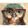 Maľovanie podľa čísel - SOVA S OKULIARMI