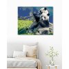 Maľovanie podľa čísel - PANDA A BAMBUS
