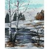 Maľovanie podľa čísel - BREZY V ZIMNEJ KRAJINE