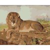 Maľovanie podľa čísel - LEV NA SAVANE