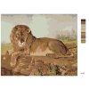 Maľovanie podľa čísel - LEV NA SAVANE
