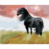 Maľovanie podľa čísel - ČIERNY KÔŇ NA LÚKE