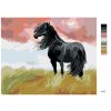 Maľovanie podľa čísel - ČIERNY KÔŇ NA LÚKE