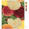 Maľovanie podľa čísel - PESTRÉ PIVÓNIE