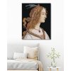 Maľovanie podľa čísel - PORTRÉT DÁMY (SANDRO BOTTICELLI)