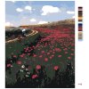 Maľovanie podľa čísel - VLČIE MAKY V POLI (PÁL SZINYEI MERSE)