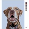 Maľovanie podľa čísel - HNEDÝ LABRADOR