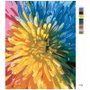 Maľovanie podľa čísel - DÚHOVÁ KVETINA