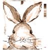 Maľovanie podľa čísel - KRÁLIK BIELE POZADIE (HALEY BUSH)