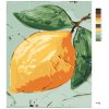 Maľovanie podľa čísel - CITRÓN II (HALEY BUSH)