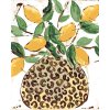 Maľovanie podľa čísel - CITRONY V LEOPARDEJ VÁZE (HALEY BUSH)