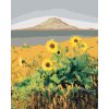 Maľovanie podľa čísel - SLNEČNICA PRED HOROU, USA (TED DAVIS)