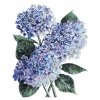 Maľovanie podľa čísel - MODRÉ HORTENZIE(ALEXANDRIA GILBERT)