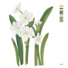 Maľovanie podľa čísel - BIELE NARCISY (ALEXANDRIA GILBERT)