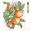 Maľovanie podľa čísel - VETVA A POMARANČE (ALEXANDRIA GILBERT)