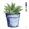 Maľovanie podľa čísel - SUKULENT V MODROM KVETINÁČI (ALEXANDRIA GILBERT)