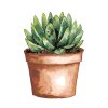 Maľovanie podľa čísel - SUKULENT V HNEDOM KVETINÁČI (ALEXANDRIA GILBERT)
