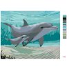 Maľovanie podľa čísel - DELFÍNY (ROBERT JOHNSON)