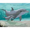 Maľovanie podľa čísel - DELFÍNY (ROBERT JOHNSON)