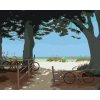 Maľovanie podľa čísel - BICYKLE A STROMY PRI PLÁŽI (ROBERT JOHNSON)