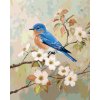 Maľovanie podľa čísel - MODRÝ VTÁK NA KONÁRI A BIELE KVETY