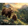 Maľovanie podľa čísel - ZÁPAD SLNKA, MEDVEĎ S MLÁĎATAMI A RIEKA MEDZI HORAMI