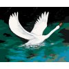 Maľovanie podľa čísel - BIELA LABUŤ NA ČIERNOM JAZERE