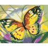 Maľovanie podľa čísel - ŽLTÝ MOTÝĽ