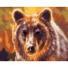 Maľovanie podľa čísel - HLAVA MEDVEĎA