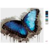 Maľovanie podľa čísel - MODROČIERNY MOTÝĽ