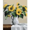 Maľovanie podľa čísel - ZÁTIŠIE SLNEČNICE V BIELEJ VÁZE (PIETER WAGEMANS)