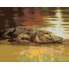 Maľovanie podľa čísel - ALIGÁTOR LEŽIACI PRI VODE (D. RUSTY RUST)