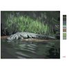 Maľovanie podľa čísel - ALIGÁTOR LEŽIACI PRI VODE V (D. RUSTY RUST)