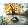 Maľovanie podľa čísel - ALIGÁTOR HĽADIACI Z VODY A STROMY (D. RUSTY RUST)