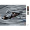 Maľovanie podľa čísel - ALIGÁTOR HLAVA VO VODE III (D. RUSTY RUST)