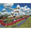 Maľovanie podľa čísel - VETERNÝ MLYN A TULIPÁNY (DENNIS FRATES)